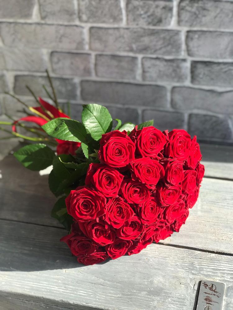 Букет Красные розы Фридом в Сапроново