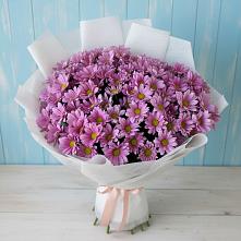 Букет цветов из:  Хризантемы в Сапроново