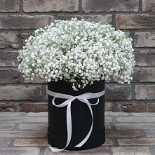 Цветочная композиция из Гипсофила в шляпной коробке #REPLACE_PRED# Сапроново