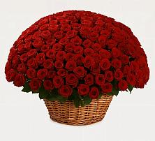 Премиум букет из: Розы в Сапроново